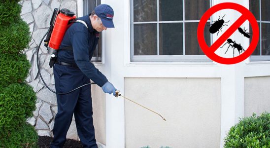 Suluova Böcek ve Haşere İlaçlama böcek ilaçlama ve haşere kontrolü — ilaclama-tr.com